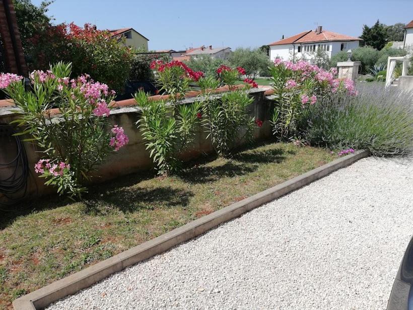 Apartments Oleander Lovrecica-Residence With Pool Экстерьер фото