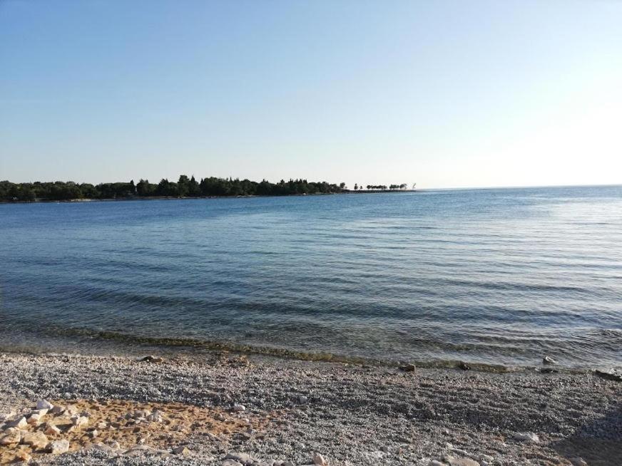 Apartments Oleander Lovrecica-Residence With Pool Экстерьер фото