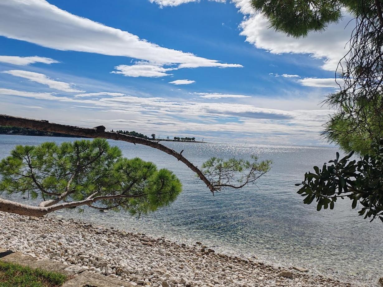 Apartments Oleander Lovrecica-Residence With Pool Экстерьер фото